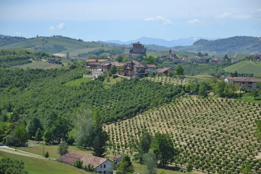 The Red Hill Vineyard Estate, Red Hill