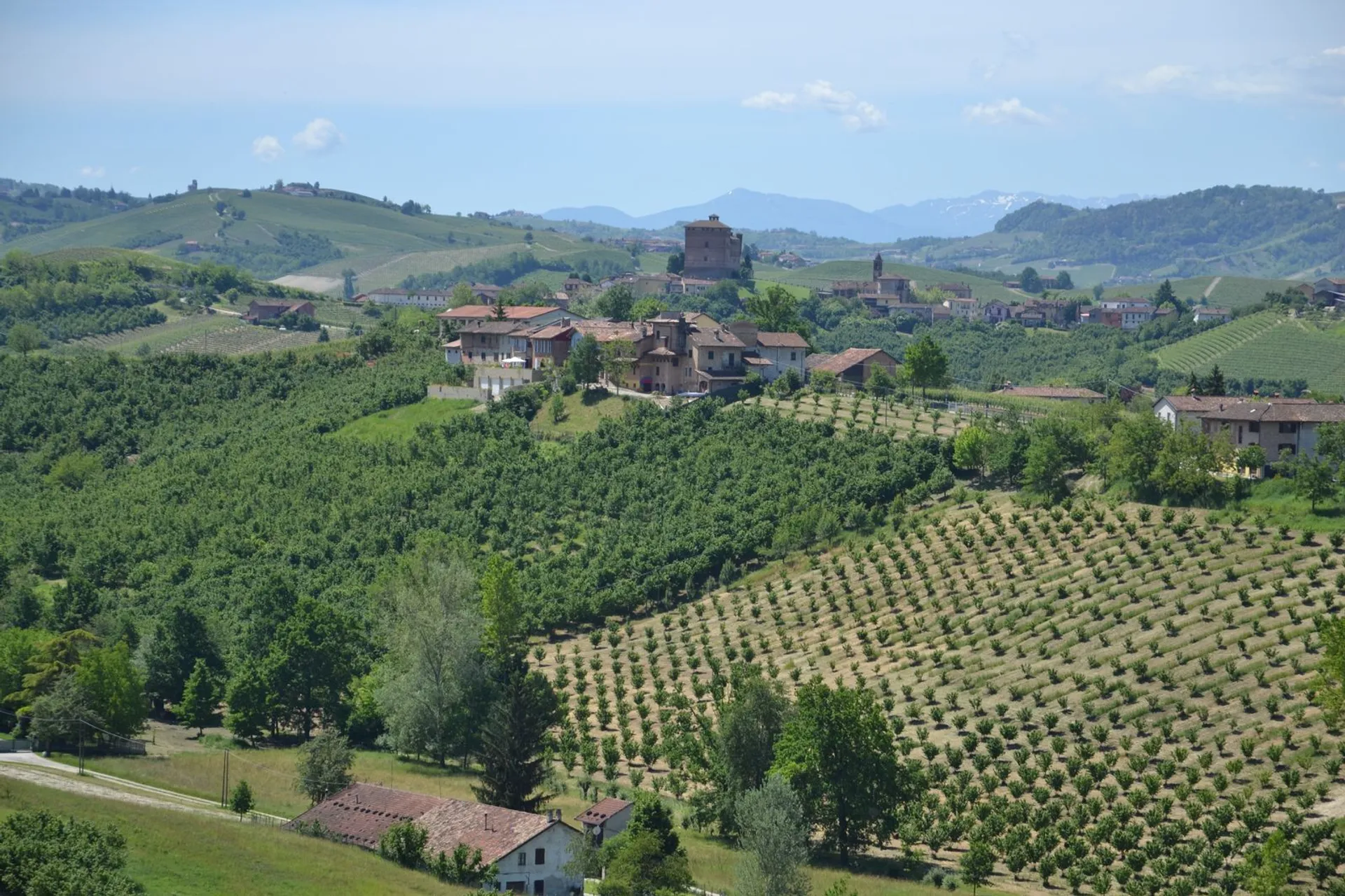 The Red Hill Vineyard Estate, Red Hill